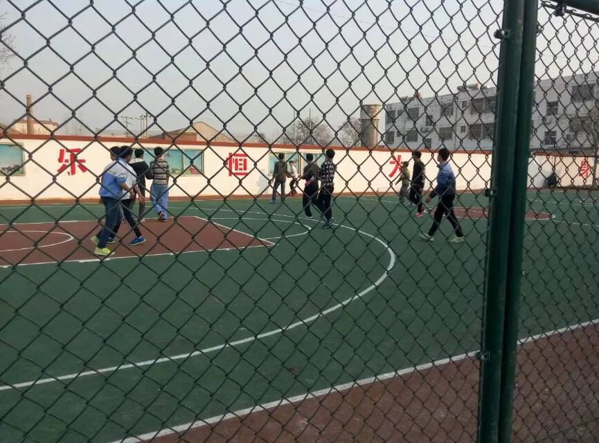 学校球场围网