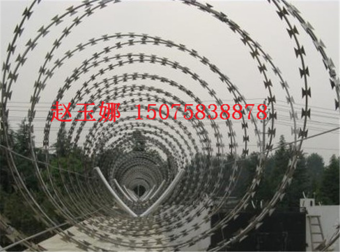 监狱蛇腹形刀片刺网