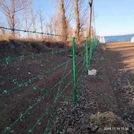 刺绳护栏网