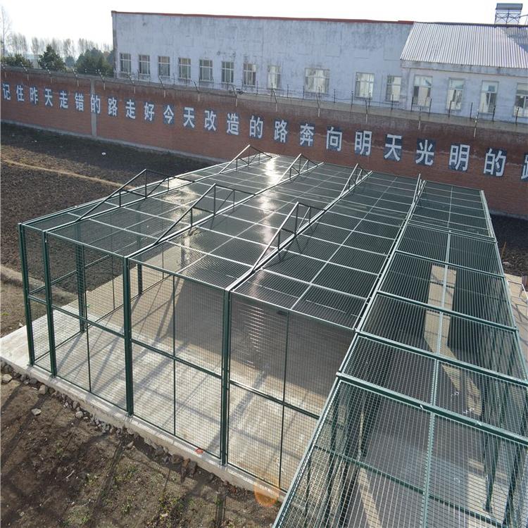 监狱隔离网